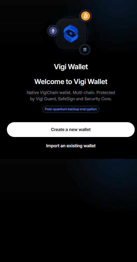 Vigi Wallet welcome screen with Create and Import options
