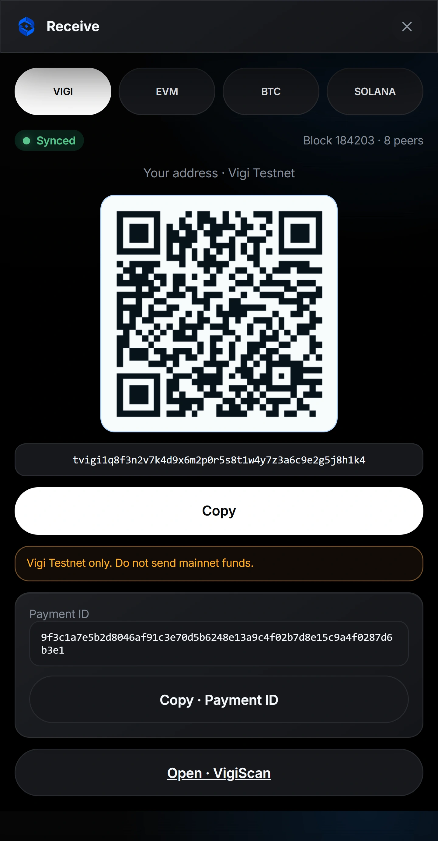 Vigi Wallet — Receive and fund your wallet